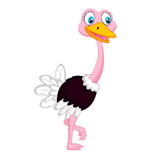 a cute ostrich